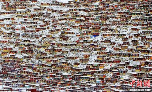 �������ɫ����ҡ�