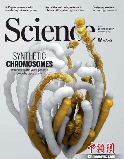 ����ѧ���ڿ��������¡�(����ѧ��ͼ) ���� ��