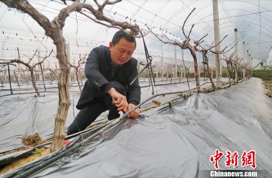 ͼΪ����ɽ������ֲרҵ�����縺���˽��ܽ�����������԰æµ�š�����ˮ�� ��