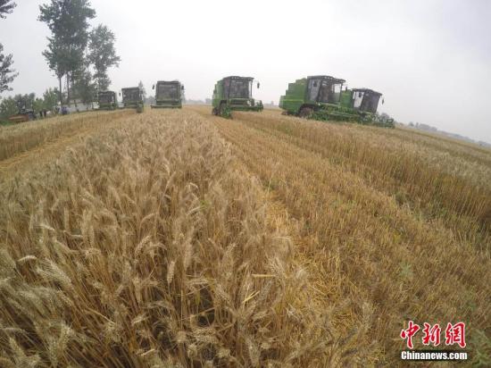 6��3�գ��ո�����������ո���գ�����ʡ��������Ķ���������ո����ũҵ������ʹ�������ո������������������������ֻ�����ʳ��ɻ�������ҵ��ʵ���˴���ʳ�ջ񡢽ոѻ����ۺ����á��¼����ﲥ�ֵ���ʳ��ɡ�������һ�廯��ҵ������������ҵЧ�ʺ;���Ч�档��������� ����� ��