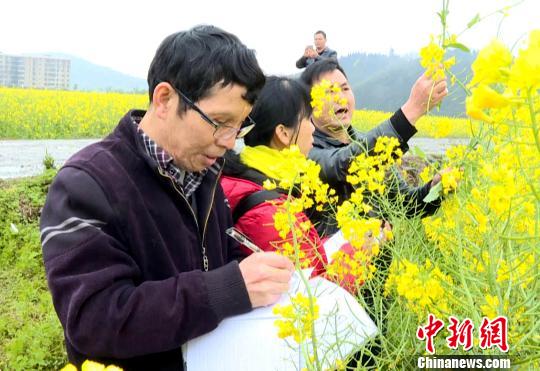 ��ũ�����ѧУ����ʦ����ϿΡ�