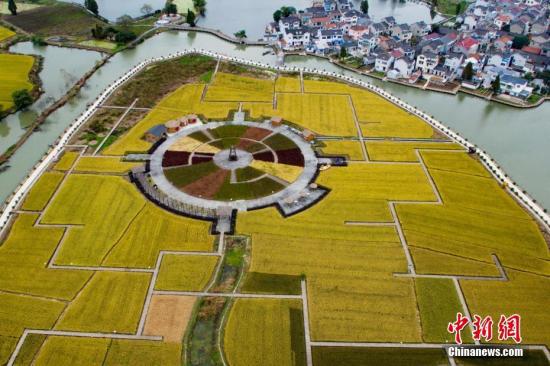 ����ͼ��2016��11�£����и����Ͼ�����ĳ��쵾�����ӡ� ��������� �� ��