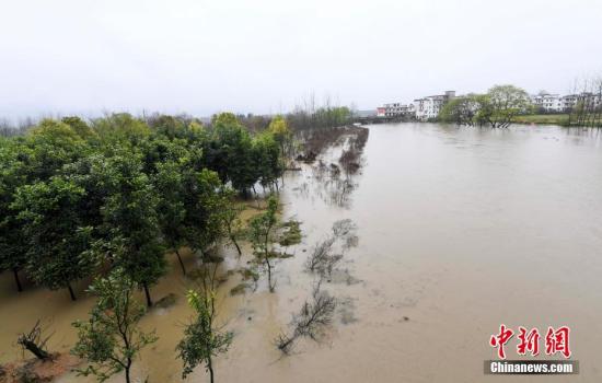 �ݽ���ʡˮ������ˮ���������ݣ�3��21��17ʱ-22��17ʱ������ȫʡ��57����(������)���±��ꡣ3��22�գ����ս��굼�¸�ʡ�����п�Ŀ��ˮλ���ǣ���Ŀ���������й۳���ŷ�������ذ�����ũ��������Ӱ�졣����ˮ����ũ�ֲ�����Խ���������������ȡ��ʩ��������ʧ�� �Դ��� ��