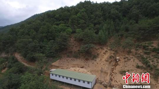 ͼΪ����Ŷӵ���ɫũ��Ʒ��ֳ���ء������� ��