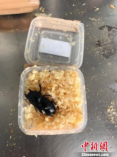 ľм�еĻ���׳档���ܹ��� ��