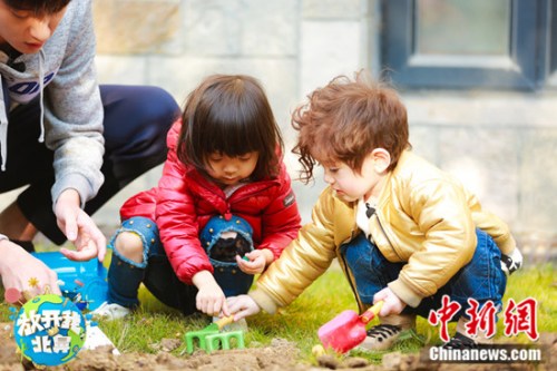 �����ֲ�