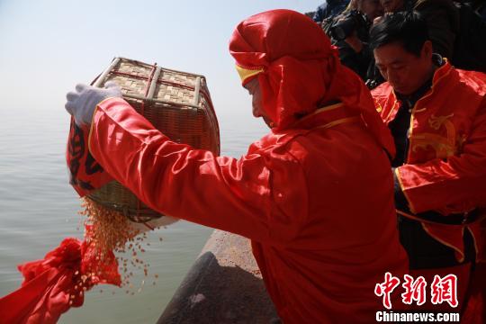 ������ʽ��������Դ󺣵ľ�η�͸ж�֮�顣������ ��