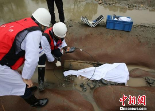 ������Ա�����ֳ����顣������ ��