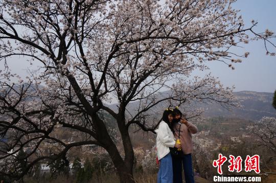 ���·���ɽ����ɽ��Ұ��Ұ���ӻ�Զ��������ѩ����ɫ�����������������ơ���