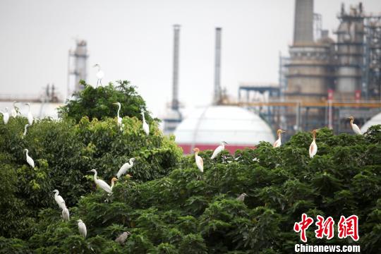 ͼΪ���������ڵİ��ء���¦���� ��