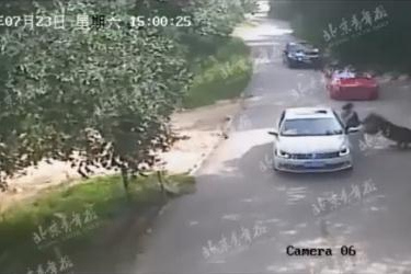 �·�ʱ����Ƶ��ͼ