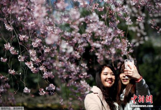 ����ʱ��3��29�գ��ձ�����ǰ��������԰����ӣ��