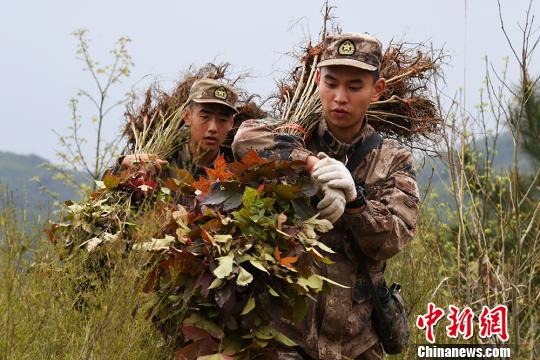 �������ܵ���ֲ���ص㣬����ֻ�ܿ��ٱ��ǿ���ȥ��һ��ʱ����ٱ��ǹ�ֲ��11���ꡣ������Ȫ ��