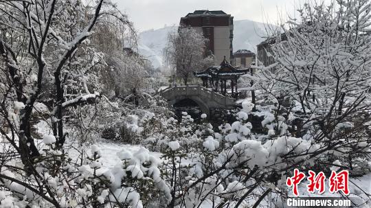 ͼΪ�����д�ͨ��ѩ������������ ��