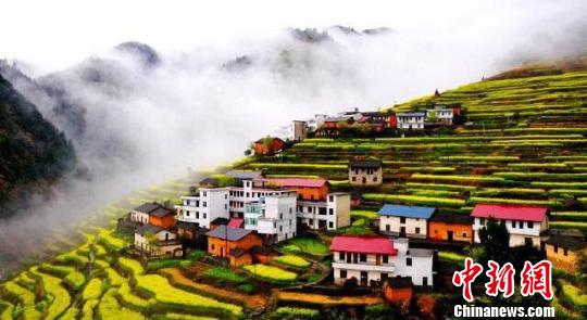 ͼΪ̨��ɽ�Ͳ˻� ���췽��ͼ ��