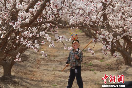 ͼΪһ��С�к����š�����ա�������ӻ��������ա���Ԭ������