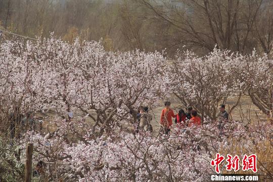 ͼΪ�������ӻ����µ��ο͡���Ԭ������