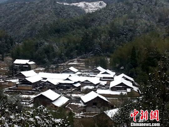 ͼΪѩ�еĿӶ����������� ��