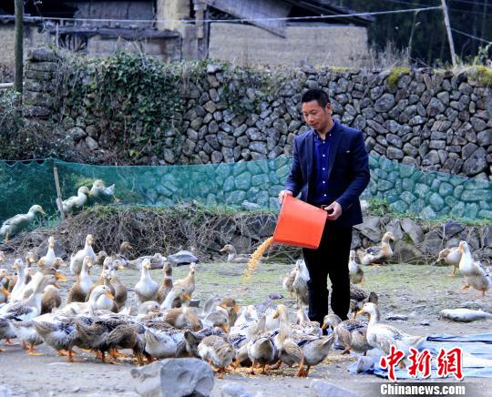 ͼΪ������������ι����Ѽ��������÷ ��