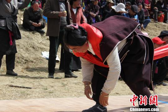 ������֥�и���������ڽ��в��崫ͳ��Ѻ�ӡ�(��ʽ�κ�)������������ ��