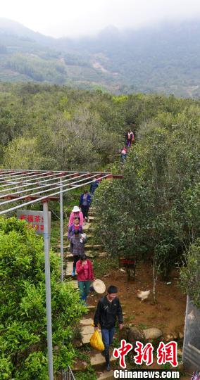 �ɲ�����Ĳ�ũ���������� ��