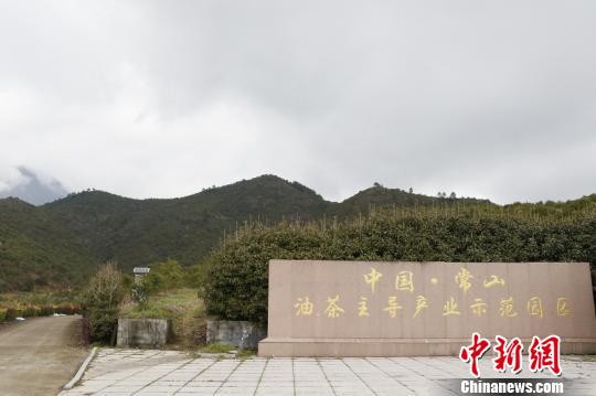 �㽭��ɽ�����Ͳ���̬���������ϻ� ��