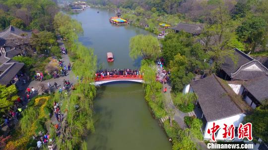 ͼΪ����������������֯�����ϵ��� ��