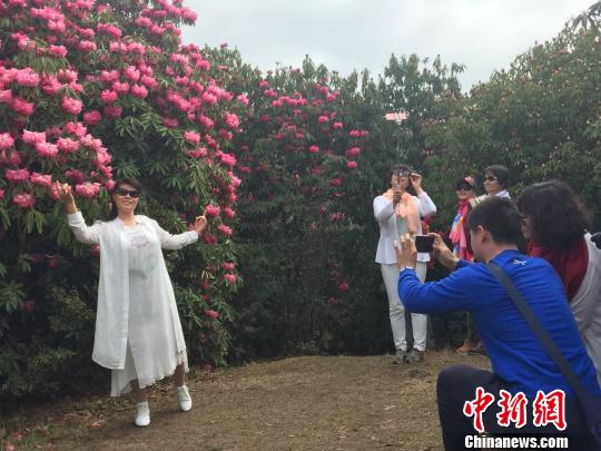 ͼΪ���������οͺ�Ӱ���������� ��