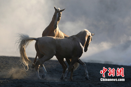 ������-����