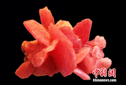 �����ڱ��첩������չ���Ĳ�Ʒ�����췽��ͼ