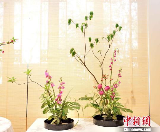 ͼΪչ����ĵ���� ��ѧ�� ��