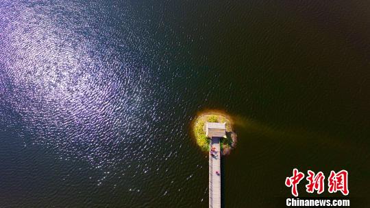 �������ڼ䣬̨��ׯ�˺ӹ���ʪ�ع�԰���ġ��������� ��