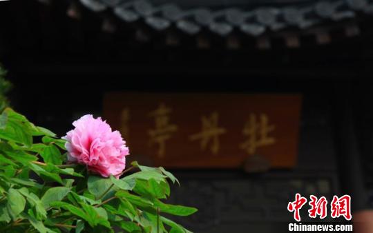 ������֮�����������۹���ĵ��԰�������߷� ��