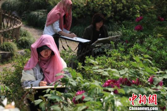 ������֮�����������۹���ĵ��԰�������߷� ��