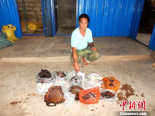 ����������ָ��Ұ��������Ʒ�������̺� ��