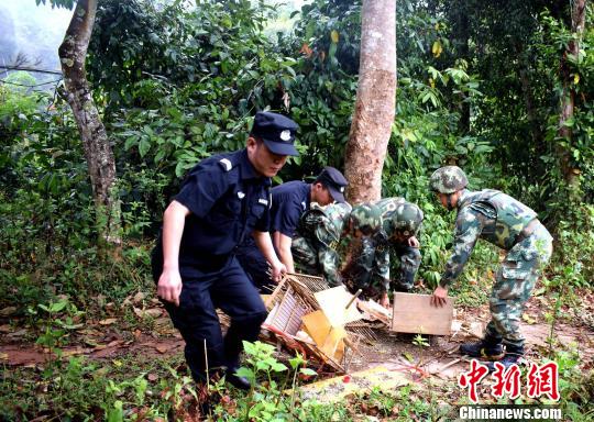 �񾯽�������ü����������١����Һ��� ��