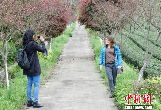 ��԰����������Щ�⼮���������������Ȩ ��