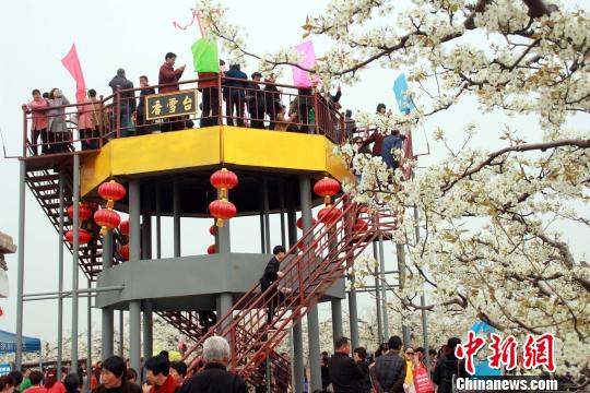 ��԰����ġ�����̨�������͡�ǧ�������滨�������������ڿ��� ��