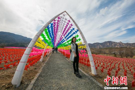 30����糵��ת�������ɹȣ������˲������ں�Ӱ����������� ��