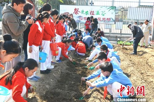 ѧ����ѧϰ������ʳ����ҩ�����췽��ͼ