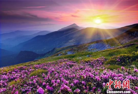 ���������������ݹ�ͼ ��