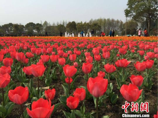 280����������ʢ�ţ�����ʤ�ա�����Ө ��