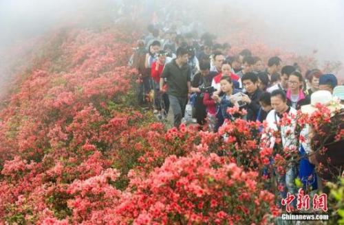 ����ͼ������ʡ��կ����Ȫɽ�������ƣ���Ķ�ž黨���භ�ޣ������ο͵�ɽ�����￴������ ��������� �ؿ��� ��