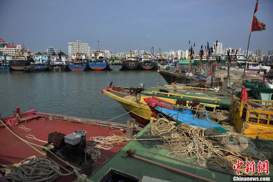 10��13�գ��ں����¸���ͷͣ�����ڶ�ظ۱ܷ���洬���ܽ����25��̨�硰�ٺϡ�Ӱ�죬����ʡ������ָ�Ӳ�����12��19ʱ������̨�����Ӧ����Ӧ��ȫʡ����26879���洬�ظۣ�2���������ϰ��ܷ磬����36���洬�ڻظ�;�С���������̨��12�����罫̨��Ԥ���ȼ�����Ϊ��ɫ��������ߵȼ���ɫ�����˽⣬̨�硰�ٺϡ�13������8ʱ����λ�ڱ�γ15.2�ȣ�����114.7�ȣ��ھ��뺣��ʡ��ɳ����ɳ���˵����Ϸ���Լ310������Ϻ������ϣ����ĸ���������13�������ٴﵽ38��ÿ�룬�߼���緶Χ�뾶280���ʮ����緶Χ�뾶100���Ԥ�ƣ����ٺϡ�����ÿСʱ15�������ҵ��ٶ���ƫ�������ƶ���ǿ���𽥼�ǿ��...