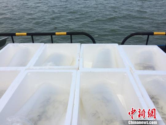 �˴���ֳ������������ԡ���������ë��Ϻ�;�Ե��з�� ����� ��