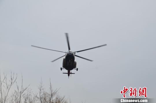 ͼΪ����������������ɹŴ��˰����ֳ� �侯���ɹ�ɭ���ܶӴ��˰���֧�� ��