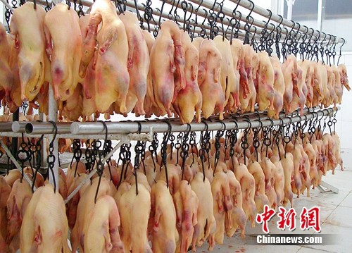 ��ˮ��ɹ���Ϸ�����Ѽ