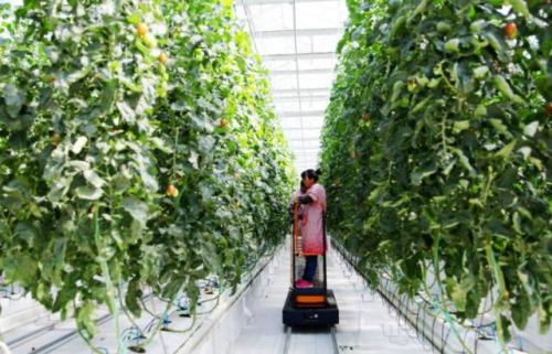 �����緢 ������ ��