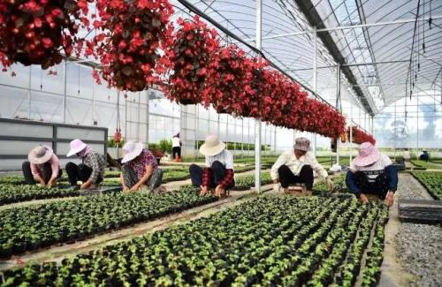 �����緢 �˻��� ��