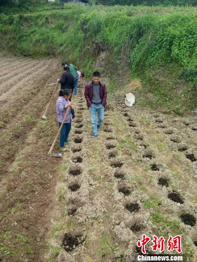 �ƽ������������Ҫ��������������������ܷ��߹�ͼ ��